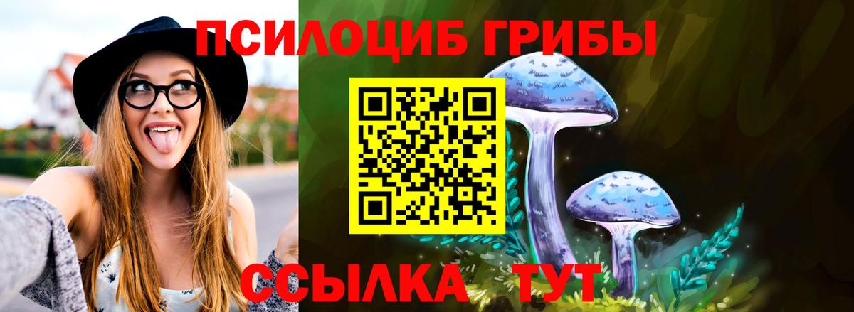 Солнечногорск  Галлюциногенные грибы мицелий  Вход с VPN 